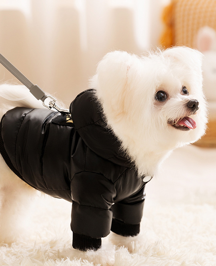 쭈쭈야 그래핀 발열 강아지패딩 하네스 자켓 고양이 블랙골드 겨울옷 애견점퍼 강아지옷