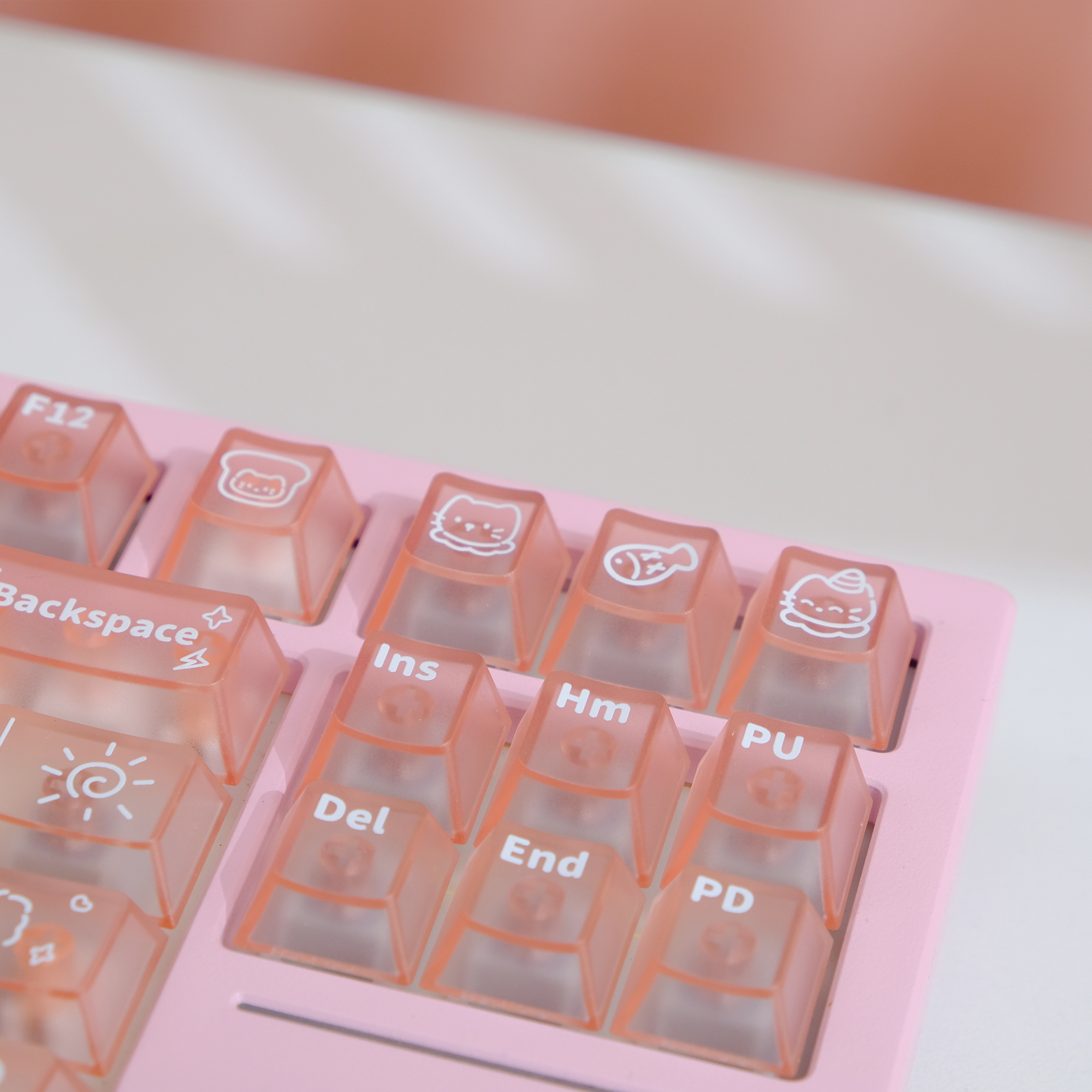코랄 핑크캣 귀여운 영문키캡 반투명 PC재질 CHERRY 기계식키보드 키캡 이미지 6