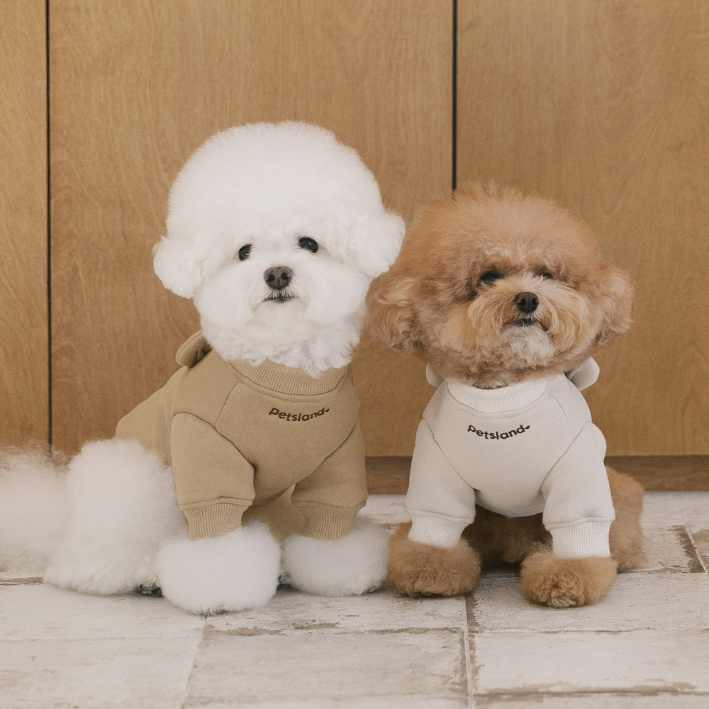 강아지옷 강아지 겨울옷 기모 티셔츠 누베어 이미지 8