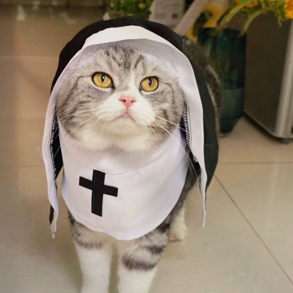 고양이 강아지 수녀복 애견 할로윈 코스프레 코스튬 애완견 옷 분장 파티 - 상세 이미지 2