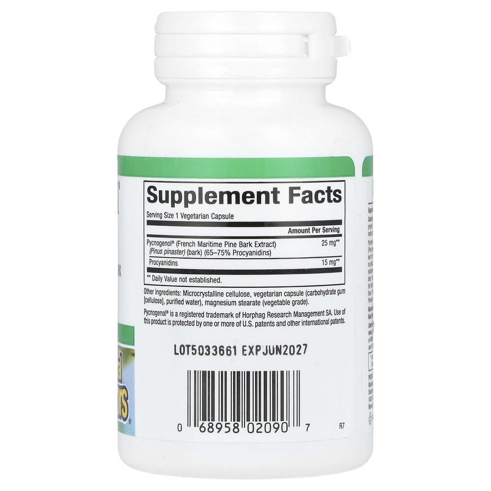 네츄럴팩터 피크노제놀 프랑스 해송 소나무 껍질 추출물 25mg Pycnogenol 60정 (2개) - 상세 이미지 3