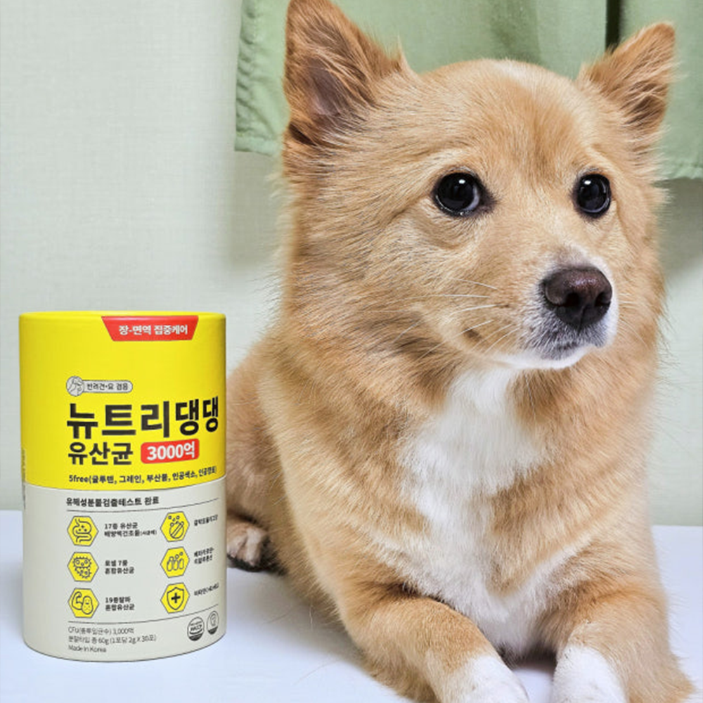 뉴트리댕댕 프로바이오틱스 강아지 유산균 장건강 영양제 30포