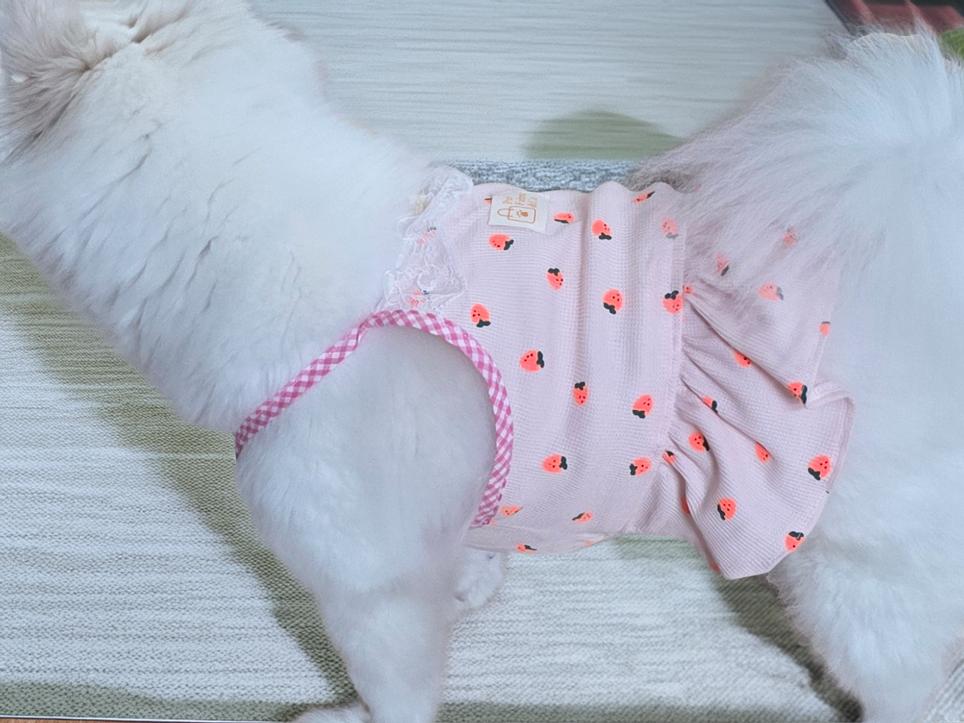 강아지 원피스 딸기 패턴 레이스 체크 핑크 애견옷 소형견 중형견 의류 - 상세 이미지 3