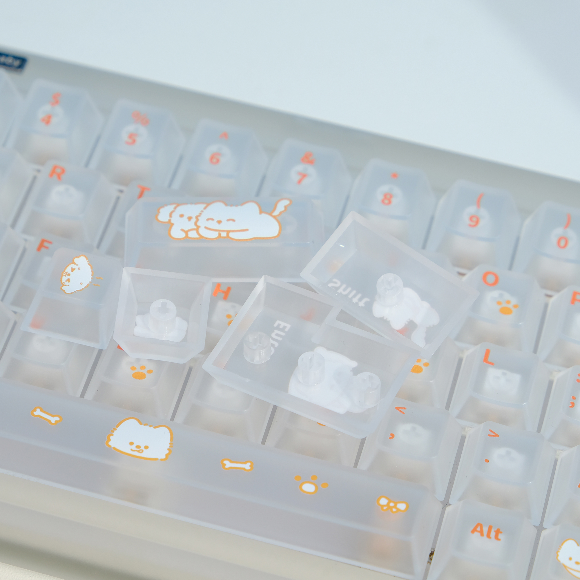 오렌지 도그캣 귀여운 영문키캡 반투명 PC재질 CHERRY 기계식키보드 키캡 이미지 7