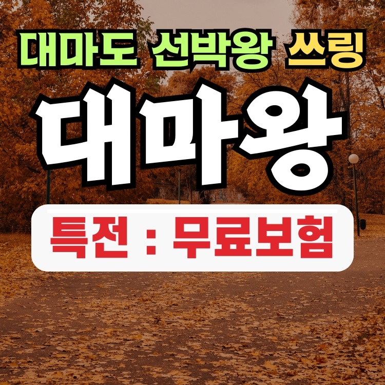부산 일본 대마도 배편 당일치기 예약 1박 2박 히타카츠 이즈하라 쓰시마링크호 대마왕 일본 승선권 - 메인 이미지