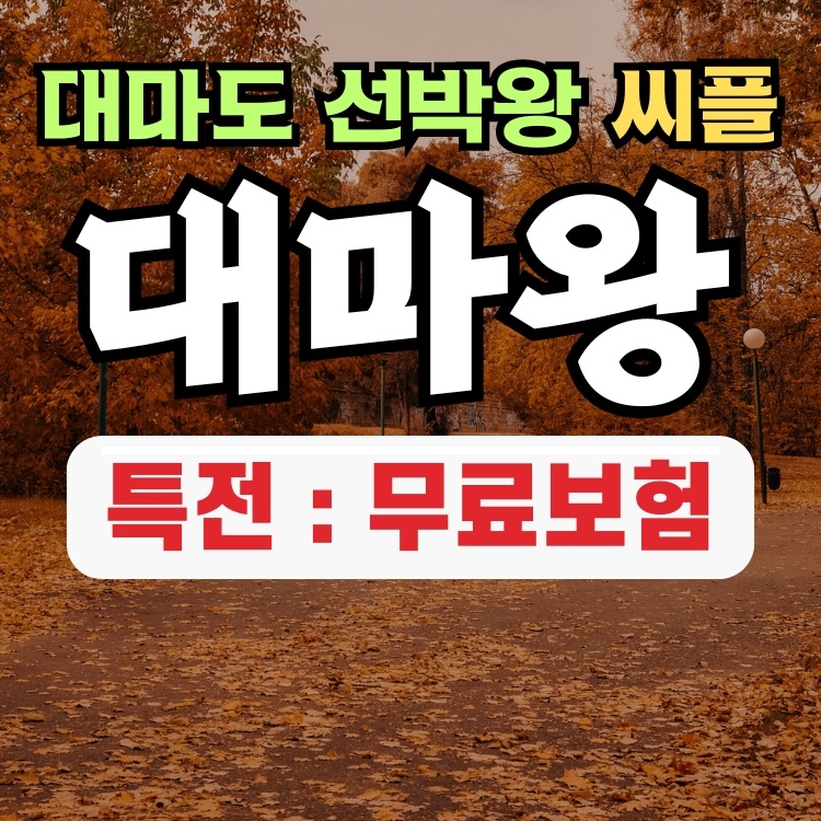 부산 일본 대마도 배편 당일치기 예약 1박 2박 히타카츠 이즈하라 씨플라워호 대마왕 일본 승선권 - 상품 이미지