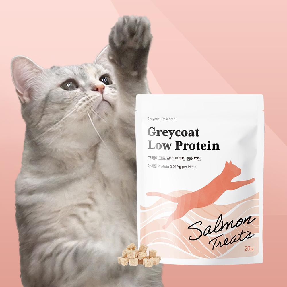 야옹섬 고양이 간식 저단백 연어 트릿 신장 로우프로틴 신부전 관리 HCM... 솔직 후기 | 실제 사용자 리뷰 총정리 - 대표 이미지