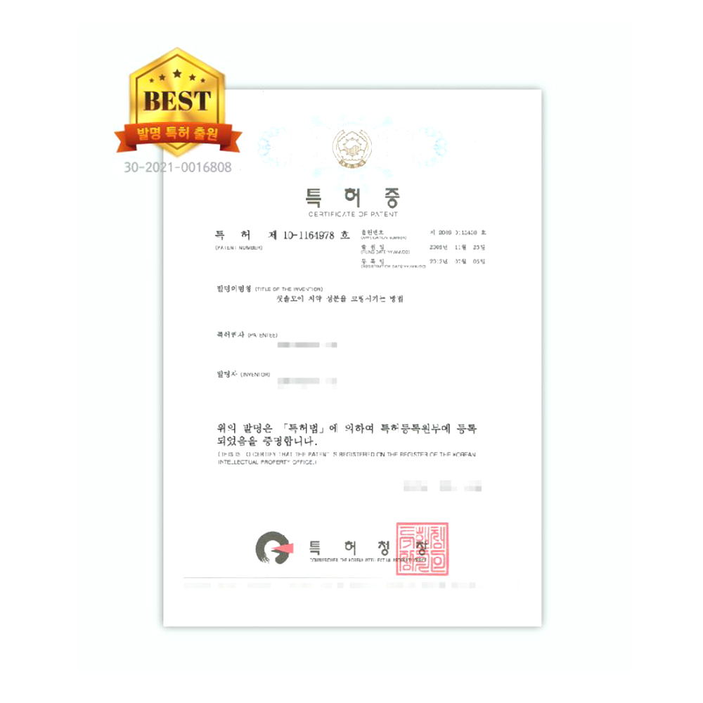 휴대용 입냄새제거 칫솔 50개입 치약 코팅 일회용 잇몸 관리 - 상세 이미지 4