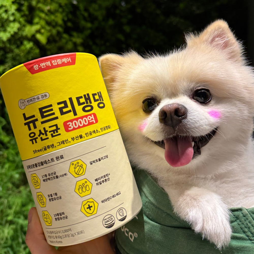 뉴트리댕댕 프로바이오틱스 강아지 유산균 장건강 영양제 30포