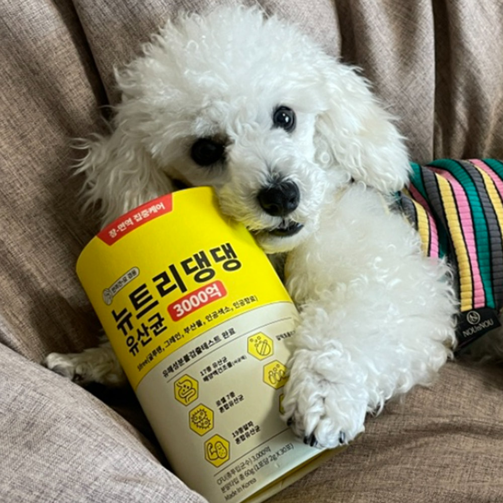 뉴트리댕댕 프로바이오틱스 강아지 유산균 장건강 영양제 30포