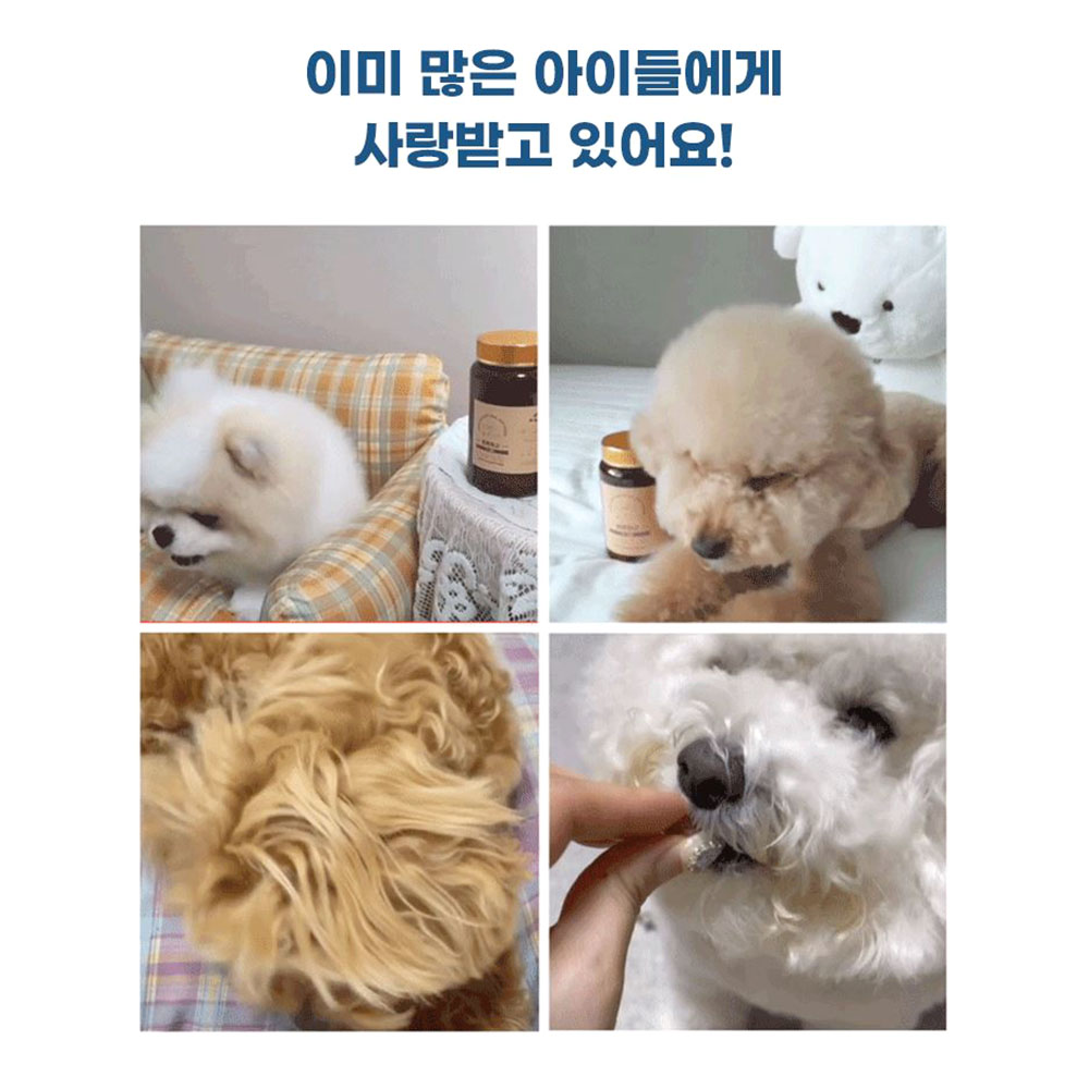 강아지 심장강화  영양제 반려동물 애완견 면역력 - 상세 이미지 4