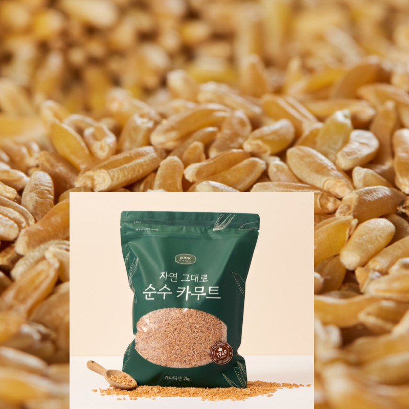 카무트 2kg 호라산 밀 통곡물 캐나다산 - 상세 이미지 2