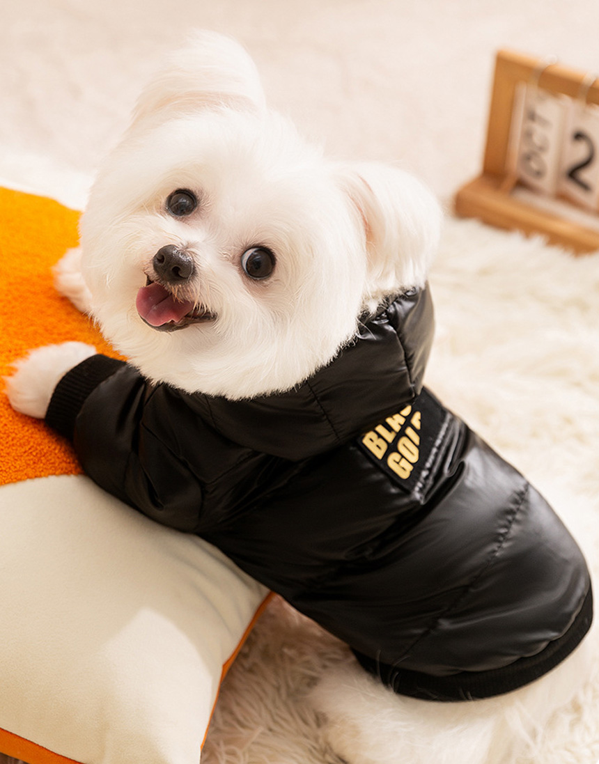 쭈쭈야 그래핀 발열 강아지패딩 하네스 자켓 고양이 블랙골드 겨울옷 애견점퍼 강아지옷