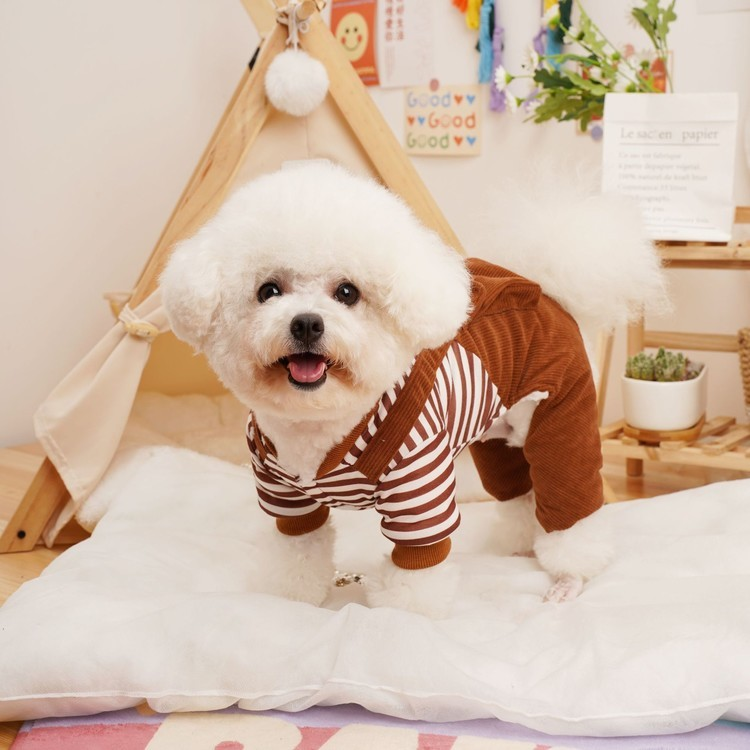 강아지옷 멜빵 코듀로이 골덴 올인원 애견 데일리룩 - 상세 이미지 2