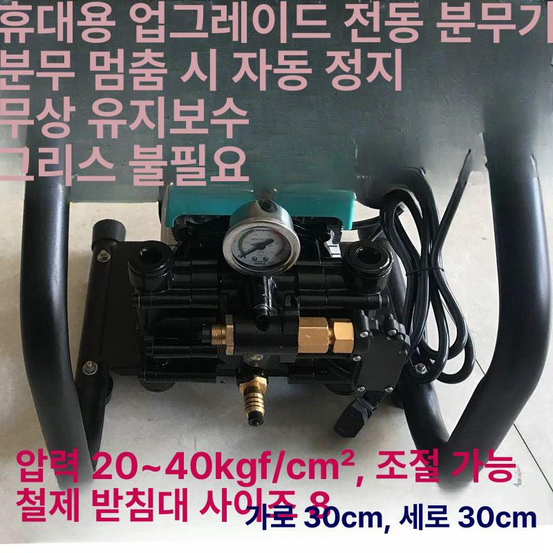 전기 분무기 펌프 분사기 스프레이 고압 살포기 농약 12V+30m+분무기 - 상세 이미지 4