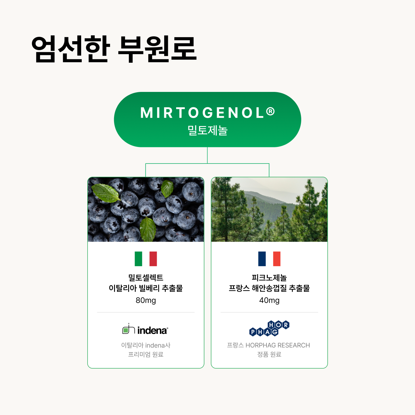 [5중 기능성] 아이릴렉스 밀토제놀(부원료) 성분 배합, 루테인20mg 아스타잔틴6mg 30캡슐, 1개 - 상세 이미지 4