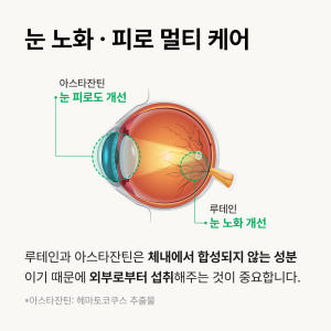 [5중기능성] 아이릴렉스 밀토제놀(부원료) 성분 배합, 루테인20mg 아... 맛있게 먹은 솔직 후기 - 상품 이미지 2