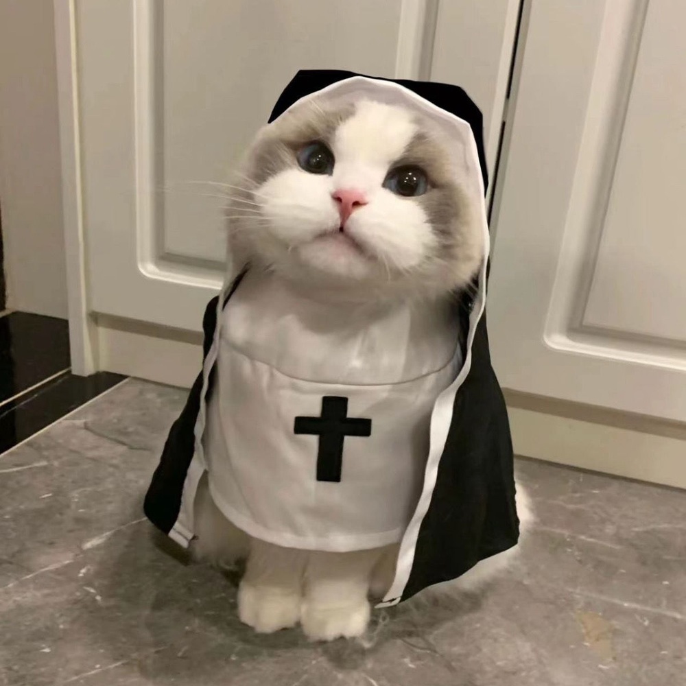 고양이 강아지 수녀복 애견 할로윈 코스프레 코스튬 애완견 옷 분장 파티 - 상세 이미지 3