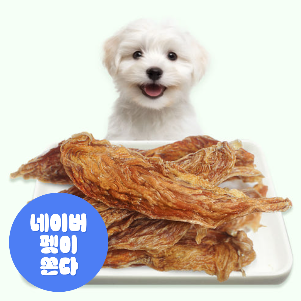 국내산 치킨 안심 육포 강아지 간식 영양식 닭고기 애견 수제 간식 닭안심, 70g, 1개