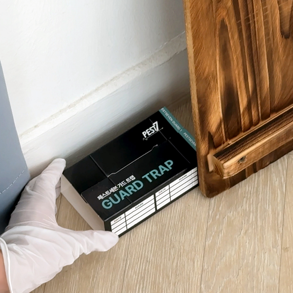 페스트세븐가드트랩(5매입) 좀벌레 곱등이 집게벌레 섶벌레 먼지다듬이 곱등이 돈벌레 지네 노래기 거미 노린재 바퀴벌레 개미 쥐 공벌레 딱정벌레 퇴치 퇴치약 퇴치제 트랩 아파트 끈끈이
