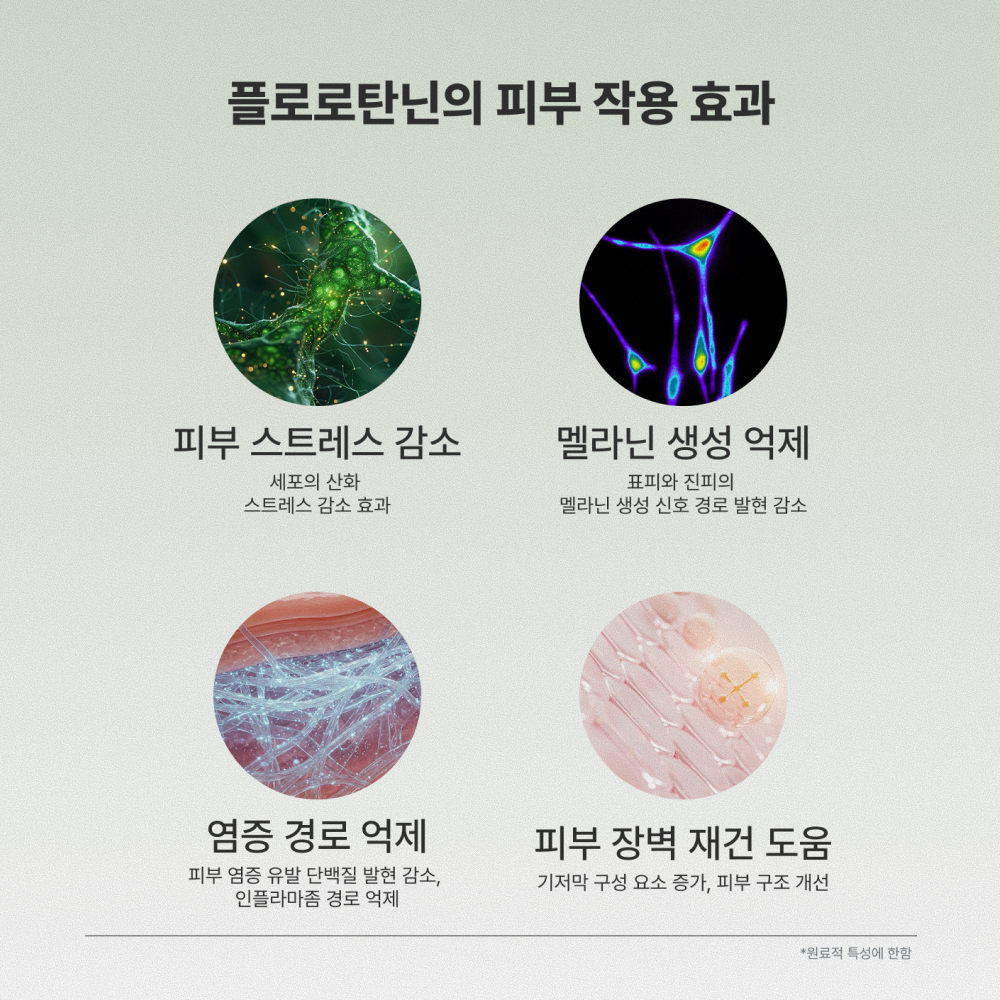 TAE743 스킨 바이탈리티 감태 엑소좀 크림 - 저자극 진정 크림 30ml, 1개 - 상세 이미지 3