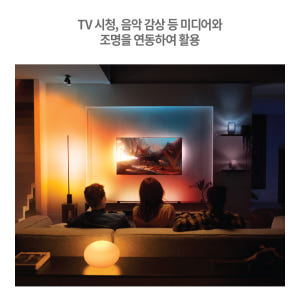 필립스 휴 브릿지 프로 솔직 후기 | 실제 배치 사진 포함 - 상품 이미지 4