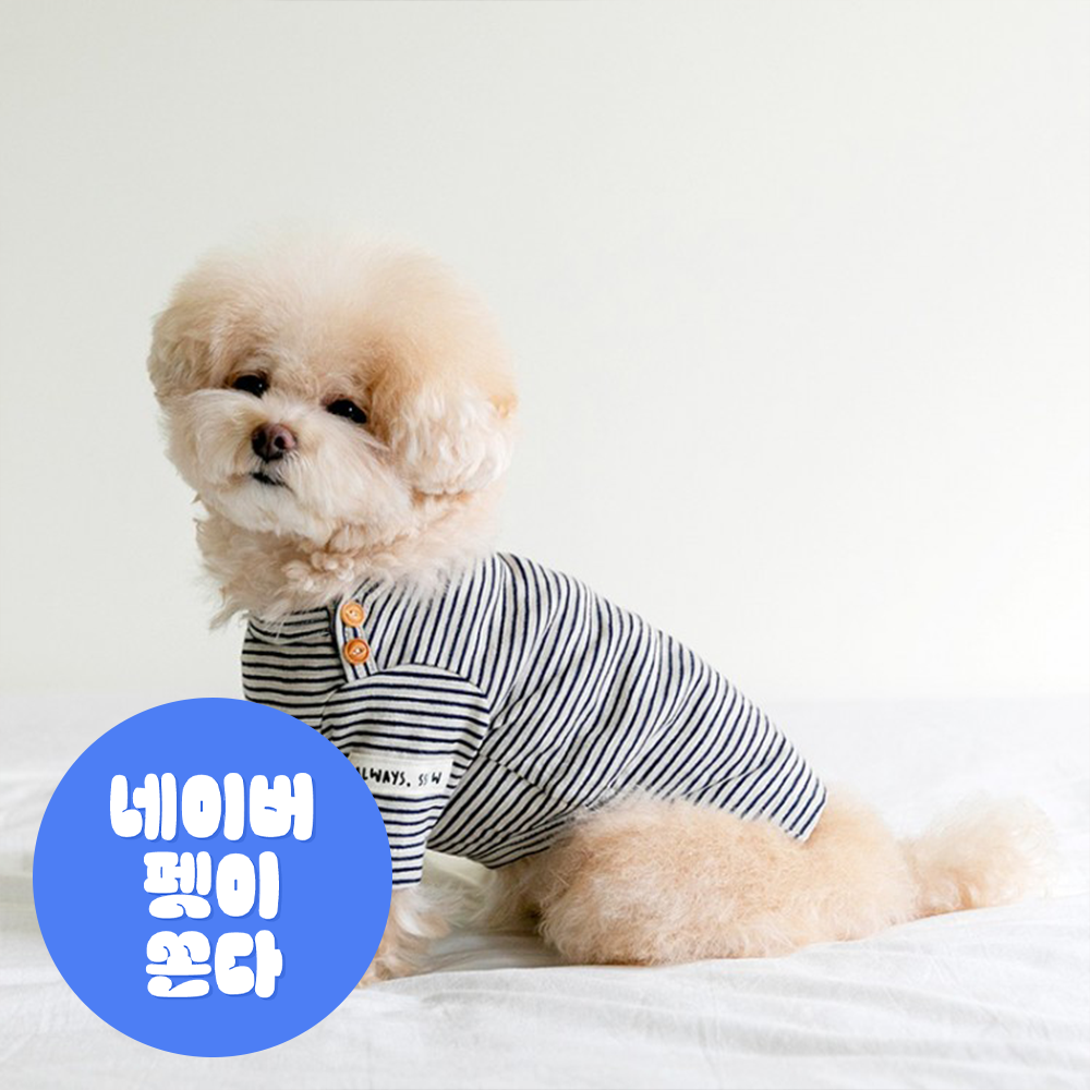 SSFW Fall in Stripe T 24 ver. - 네이비 - 메인 이미지