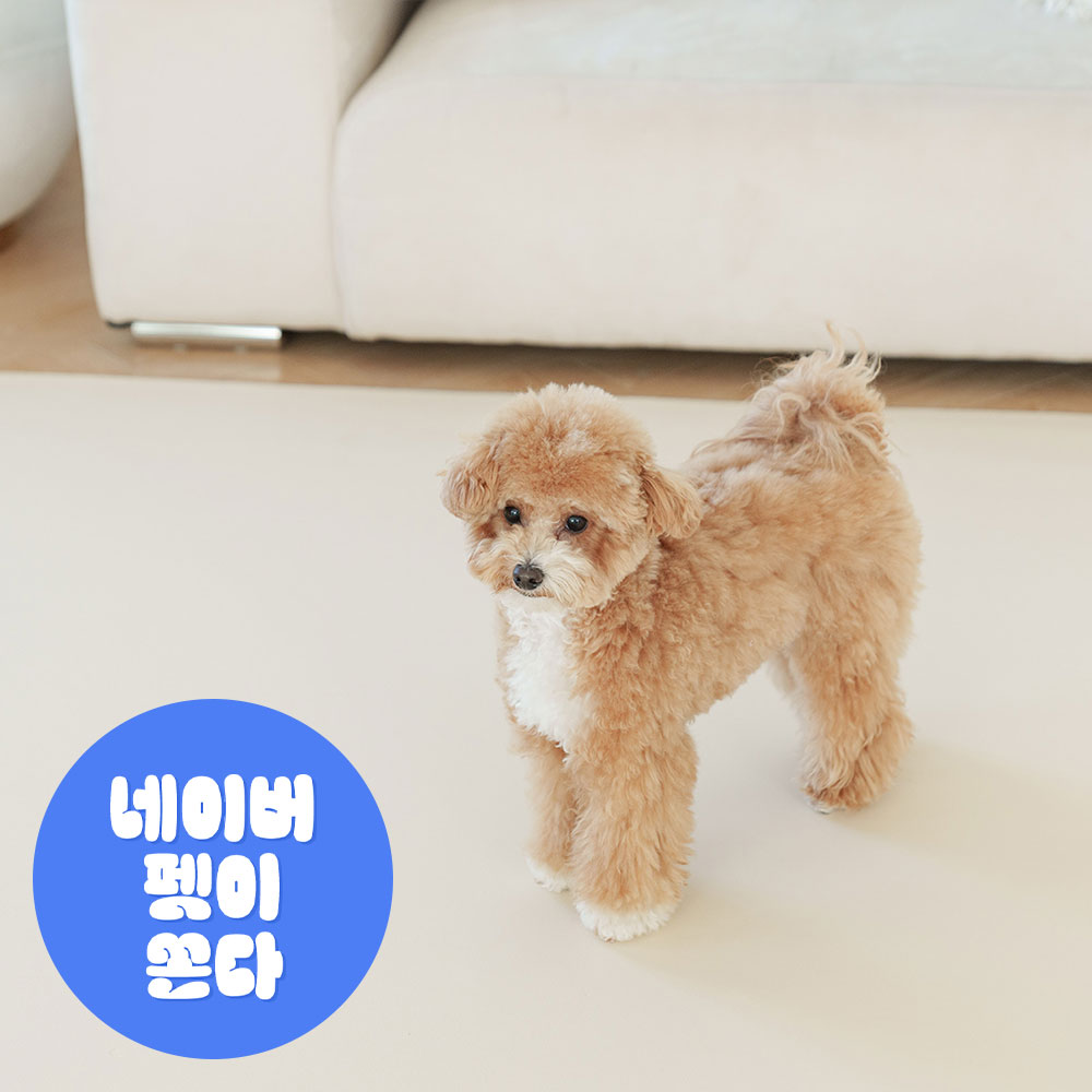 개놀자 슬림 실리콘 강아지 롤매트 애견 고양이 미끄럼방지 매트 아이보리, 140x200cm