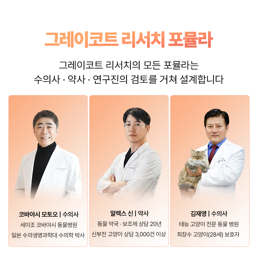 신부전 고양이 저단백 트릿 로우프로틴 HCM 심장 신장 안심 연어 간식 신장건강, 20g, 1개 이미지 8