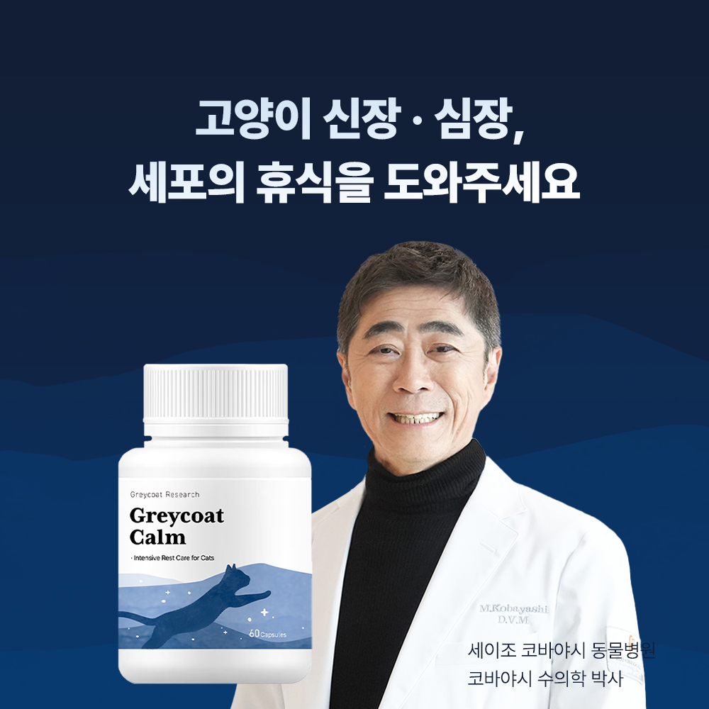 신부전 고양이 신장 심장 영양제 HCM 빈혈 고혈압 그레이코트 캄 60캡슐, 1개 - 상세 이미지 2