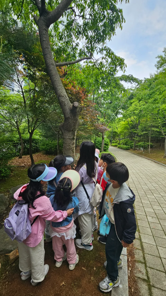 [강남 대모산] 펀포레스트 자연아트 숲속 탐험 | 자연 관찰 + 그림책 읽기 + 자연물 미술놀이 by 펀포레스트 자연아트 - 상세 이미지 3