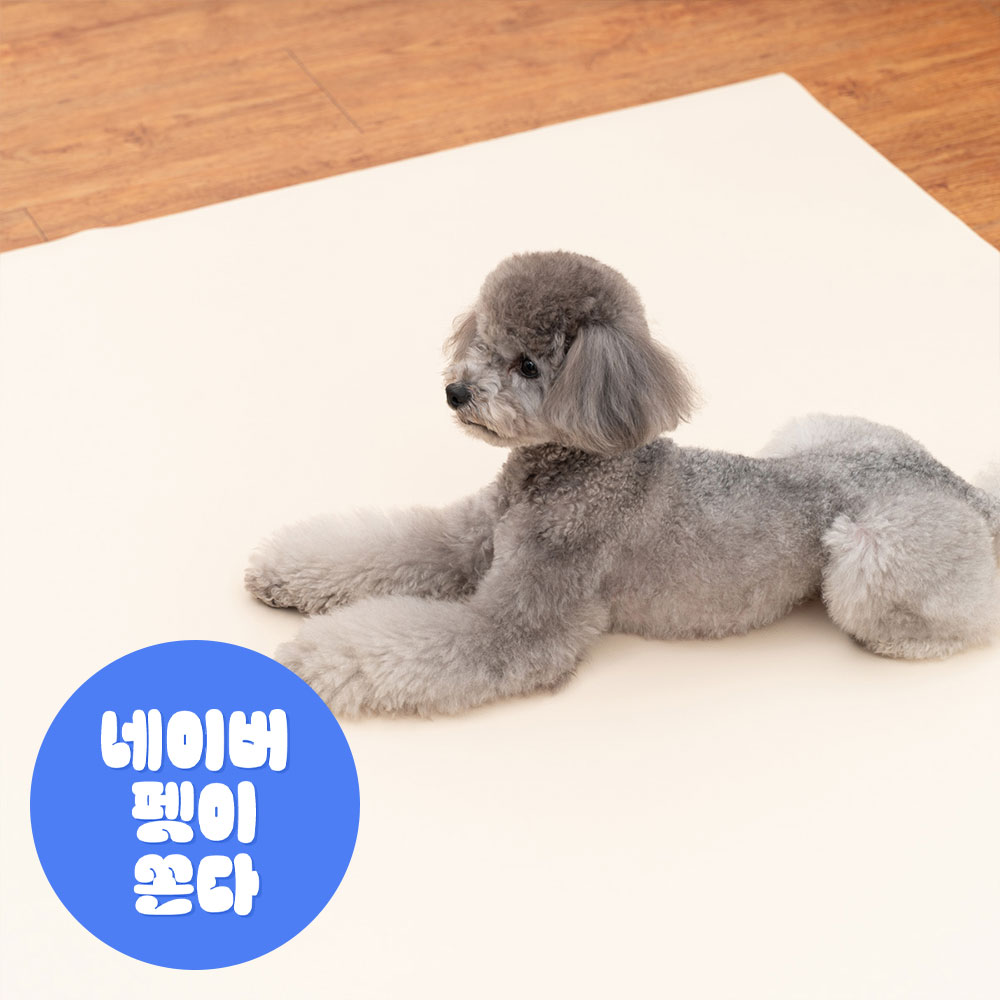 개놀자 슬림 실리콘 강아지 롤매트 애견 고양이 미끄럼방지 매트 아이보리, 110x400cm