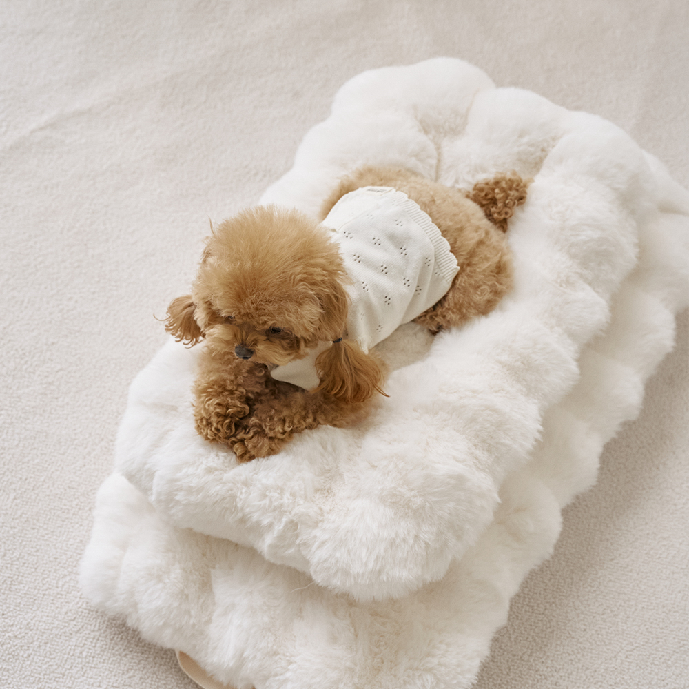 몽글몽글 밍크 라떼 강아지 유모차 말랑 방석 쿠션 M (솜+커버 세트)