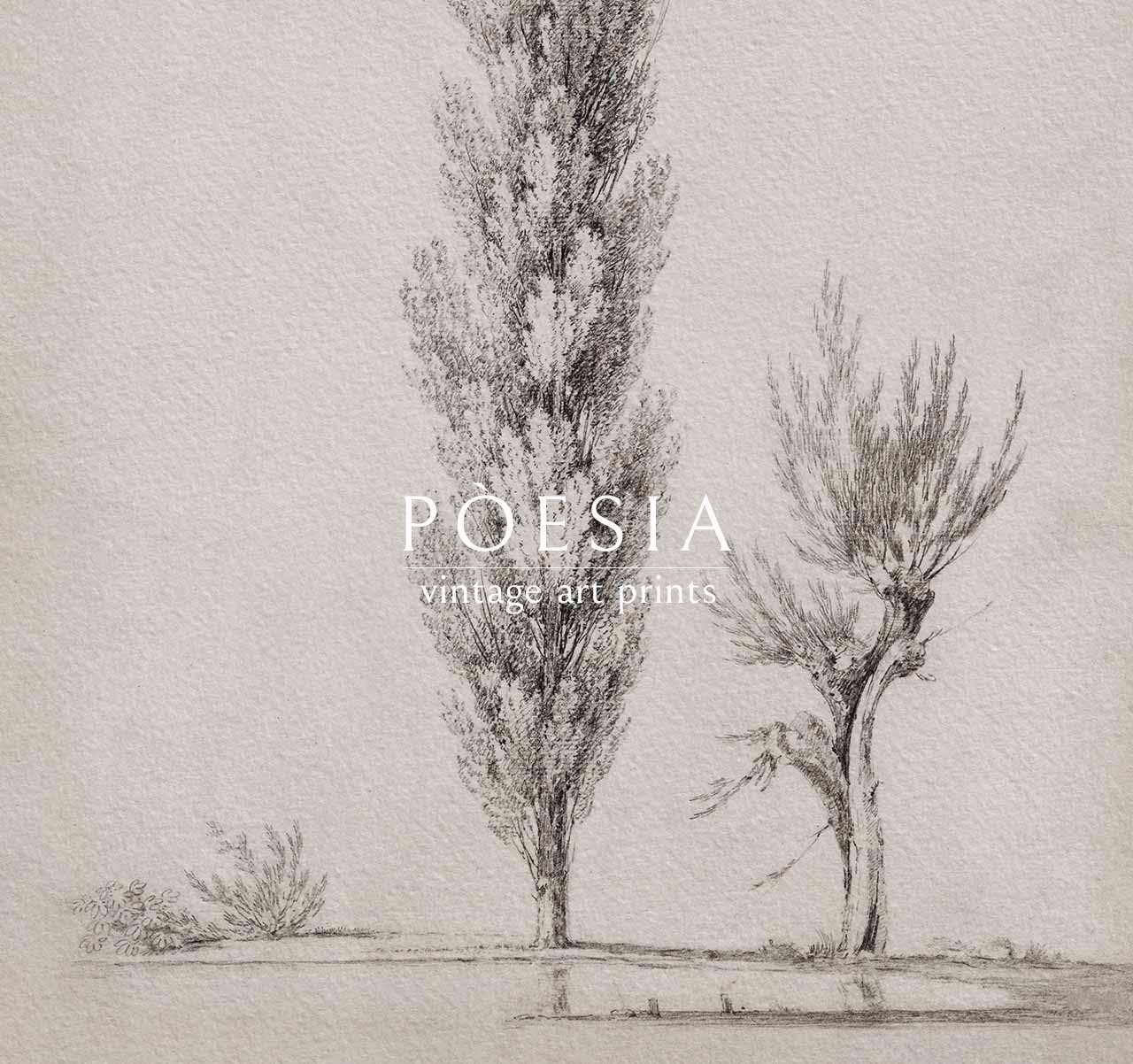 [장 빅토르 베르탱] Paysage avec un peuplier et un saule au bord d’un étang 50.4×50.4 cm (매트&액자 포함) - 상세 이미지 5