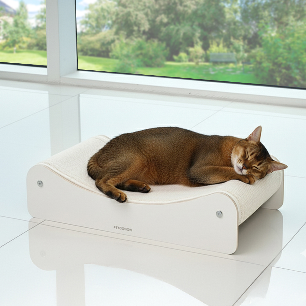 펫코본 고양이 스크래쳐 원목 카페트 리필형 아이보리 제품 이미지