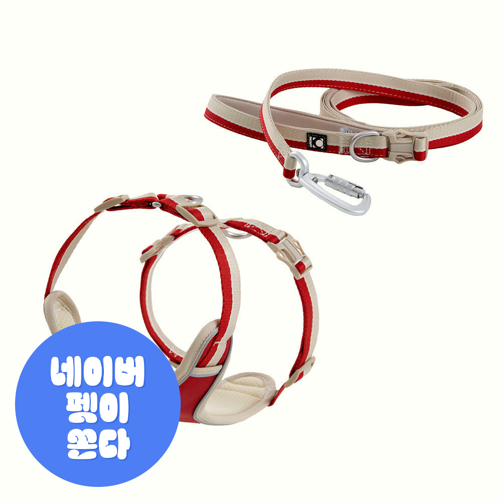 하웃 강아지 하네스 앞섬방지 가슴줄 H형 리드줄 세트