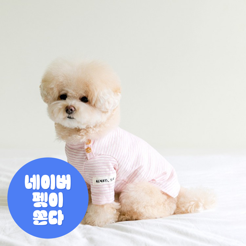 SSFW Fall in Stripe T 24 ver. - 소프트핑크 - 메인 이미지