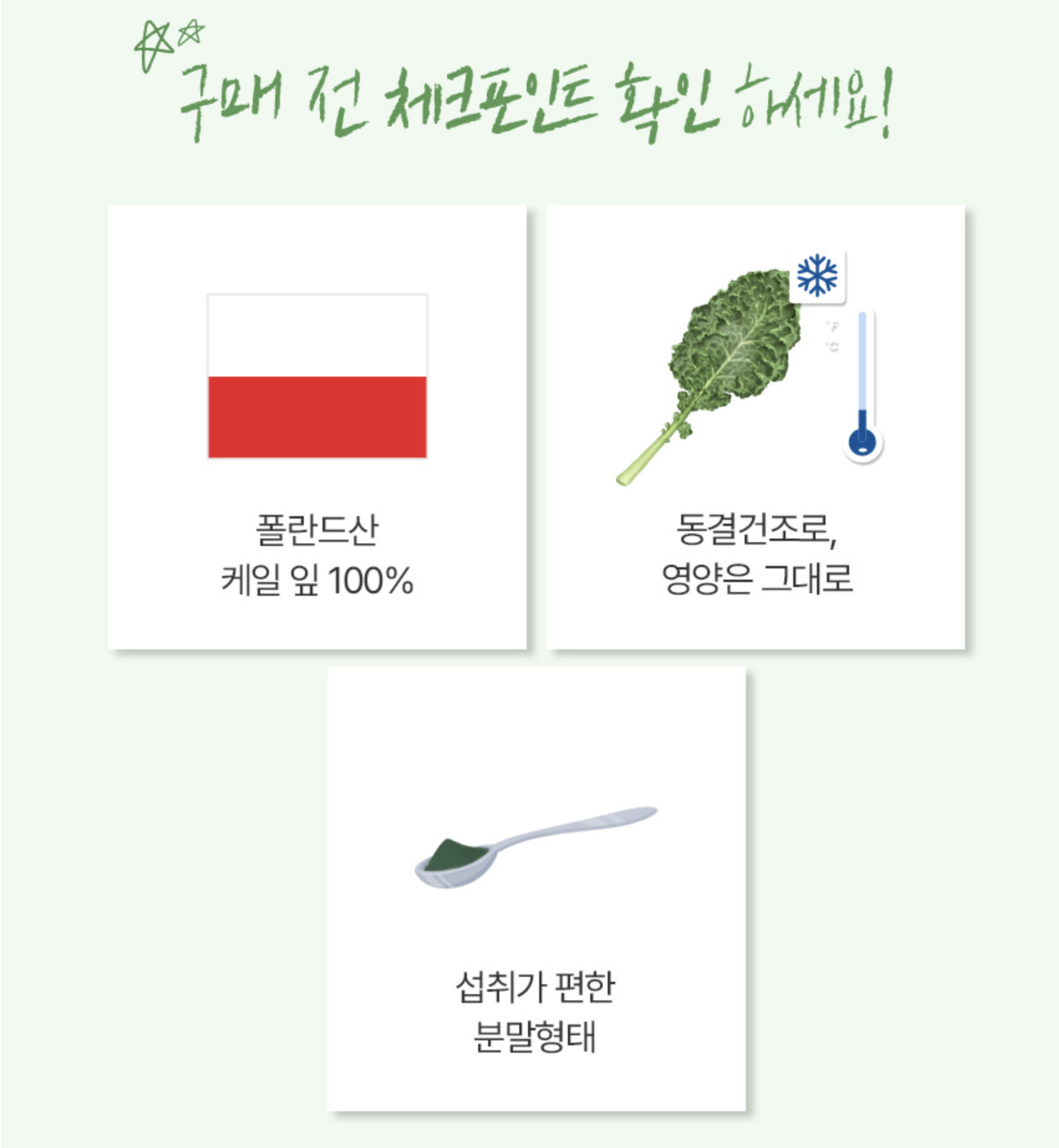 곱슬케일 분말 효능 폴리페놀 추출물 동결건조 컬리케일 - 상세 이미지 2