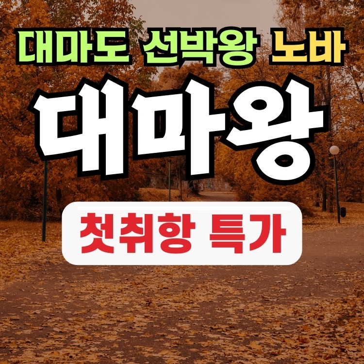 부산 일본 대마도 배편 예약 배 왕복승선권 노바호 당일치기 히타카츠 이즈하라 1박2일 - 메인 이미지