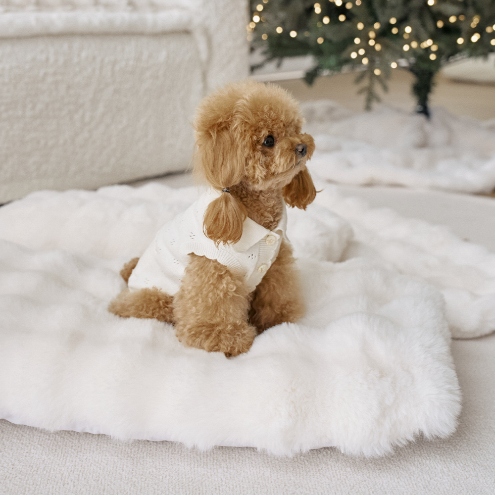 몽글몽글 밍크 라떼 강아지 유모차 말랑 방석 쿠션 M (솜+커버 세트)