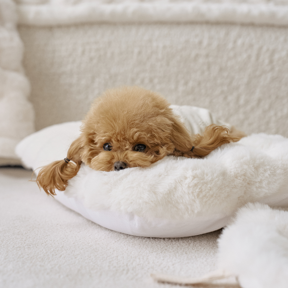 몽글몽글 밍크 라떼 강아지 유모차 말랑 방석 쿠션 M (솜+커버 세트)