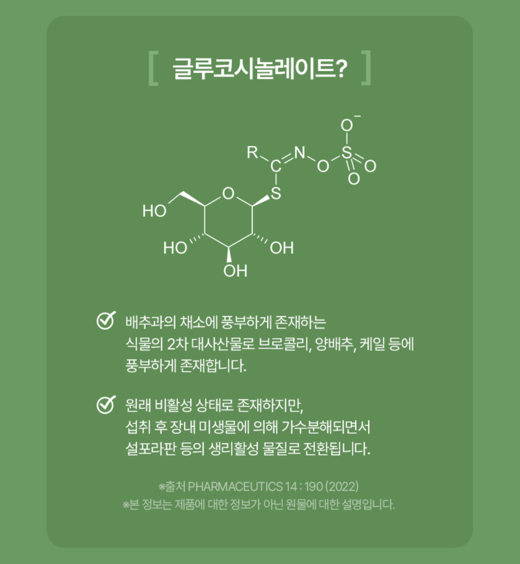 곱슬케일 분말 효능 폴리페놀 추출물 동결건조 컬리케일 - 상세 이미지 4