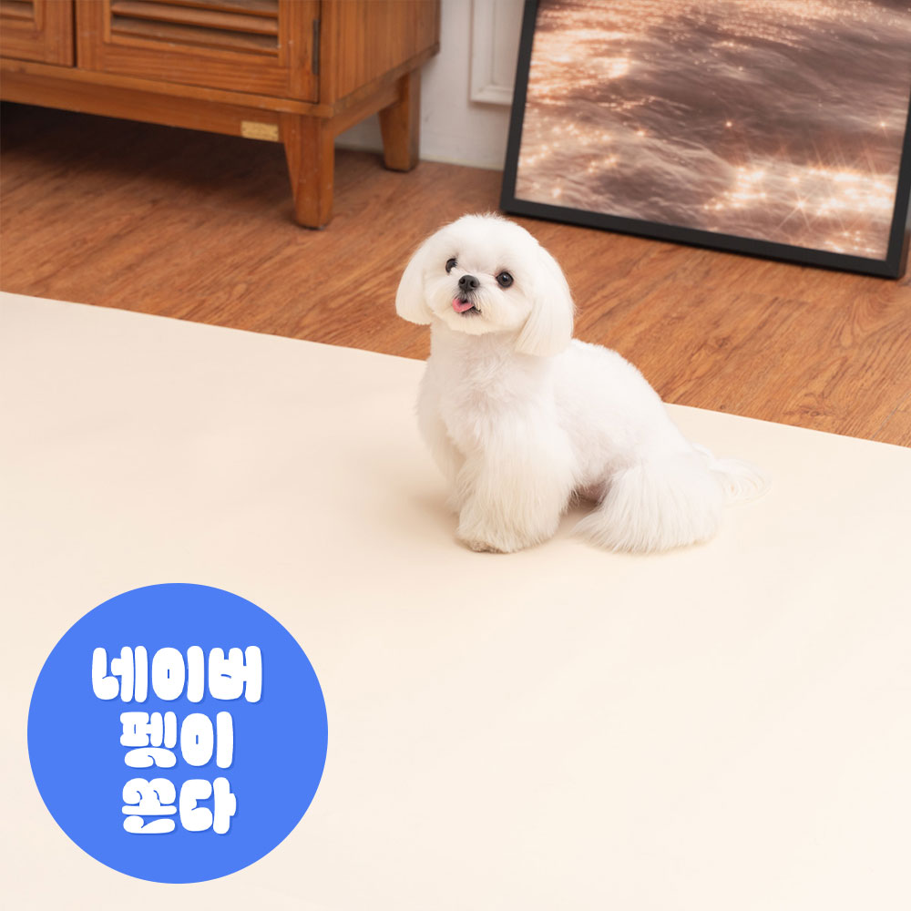 개놀자 슬림 실리콘 강아지 롤매트 애견 고양이 미끄럼방지 매트 아이보리, 140x400cm
