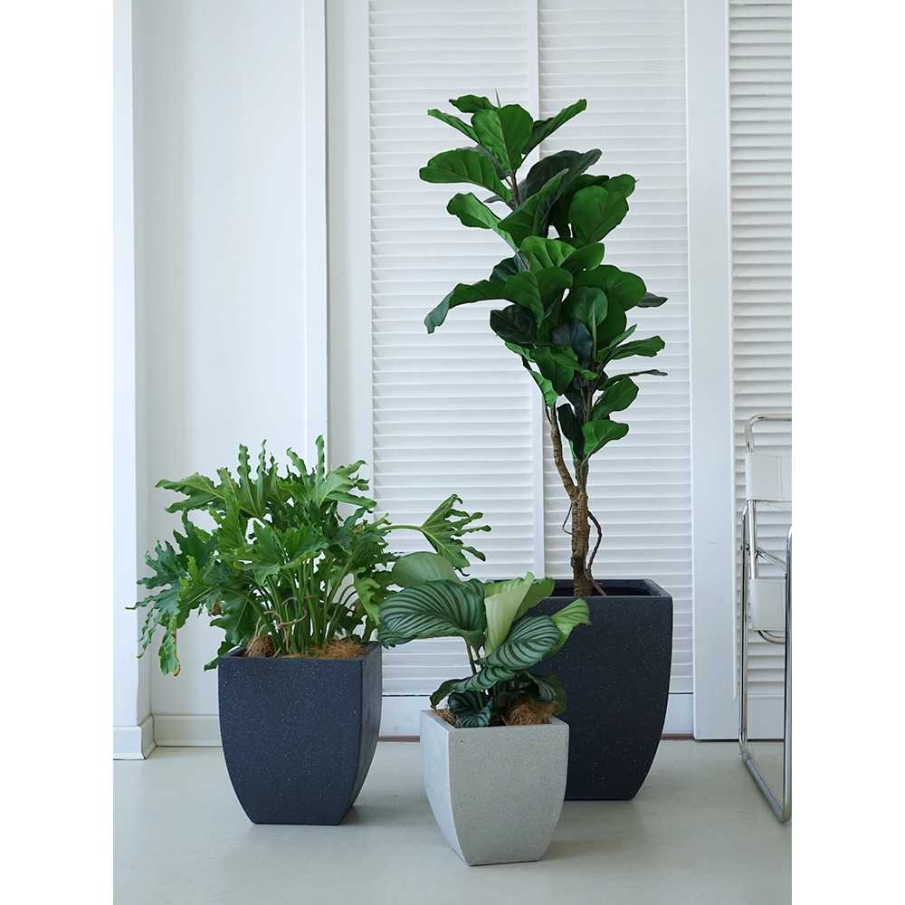 인테리어 세라믹 대형 화분 거실 정원 플랜테리어 56cm 블랙 + 사각 - 상세 이미지 4