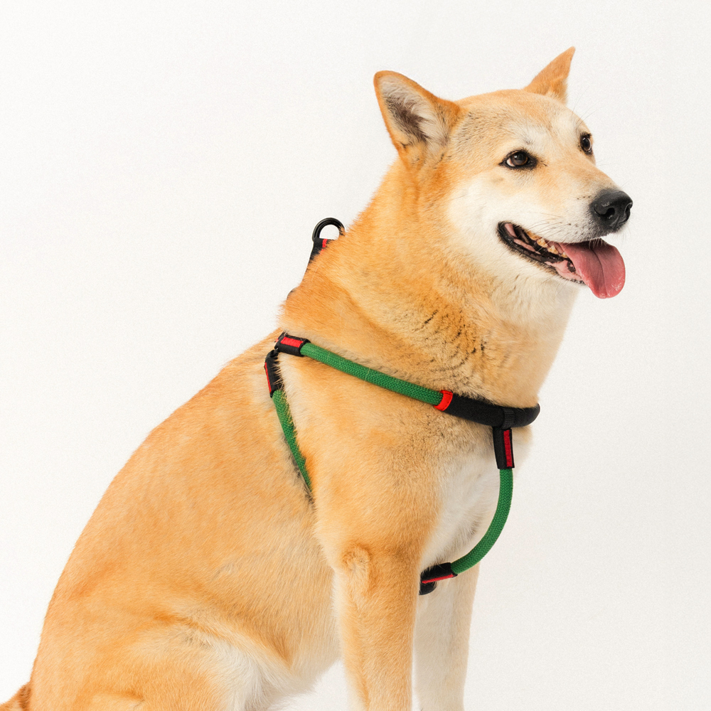 강아지 하네스 가슴줄 대형견 하네스 Y형 프레줄