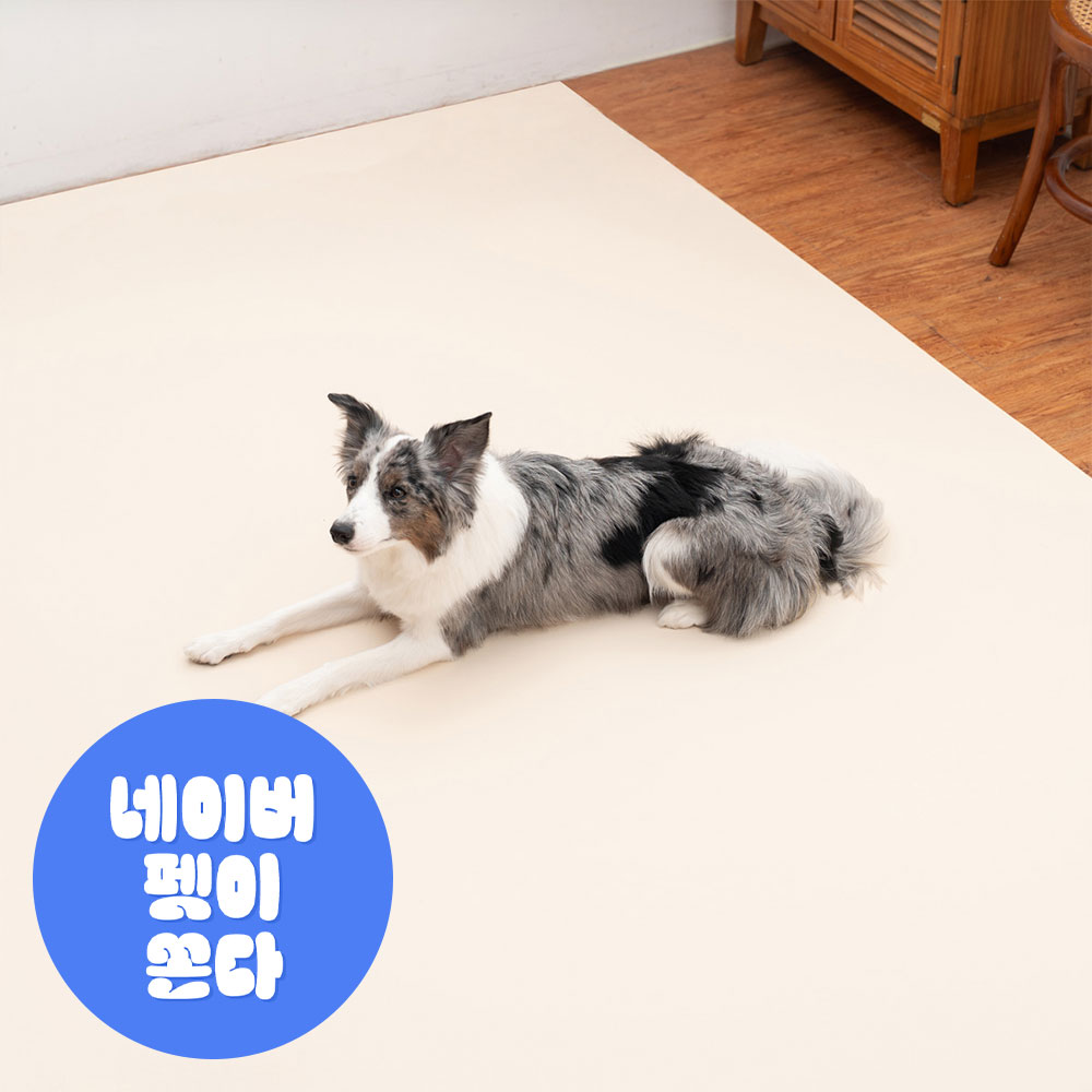 개놀자 슬림 실리콘 강아지 롤매트 애견 고양이 미끄럼방지 매트 아이보리, 110x500cm