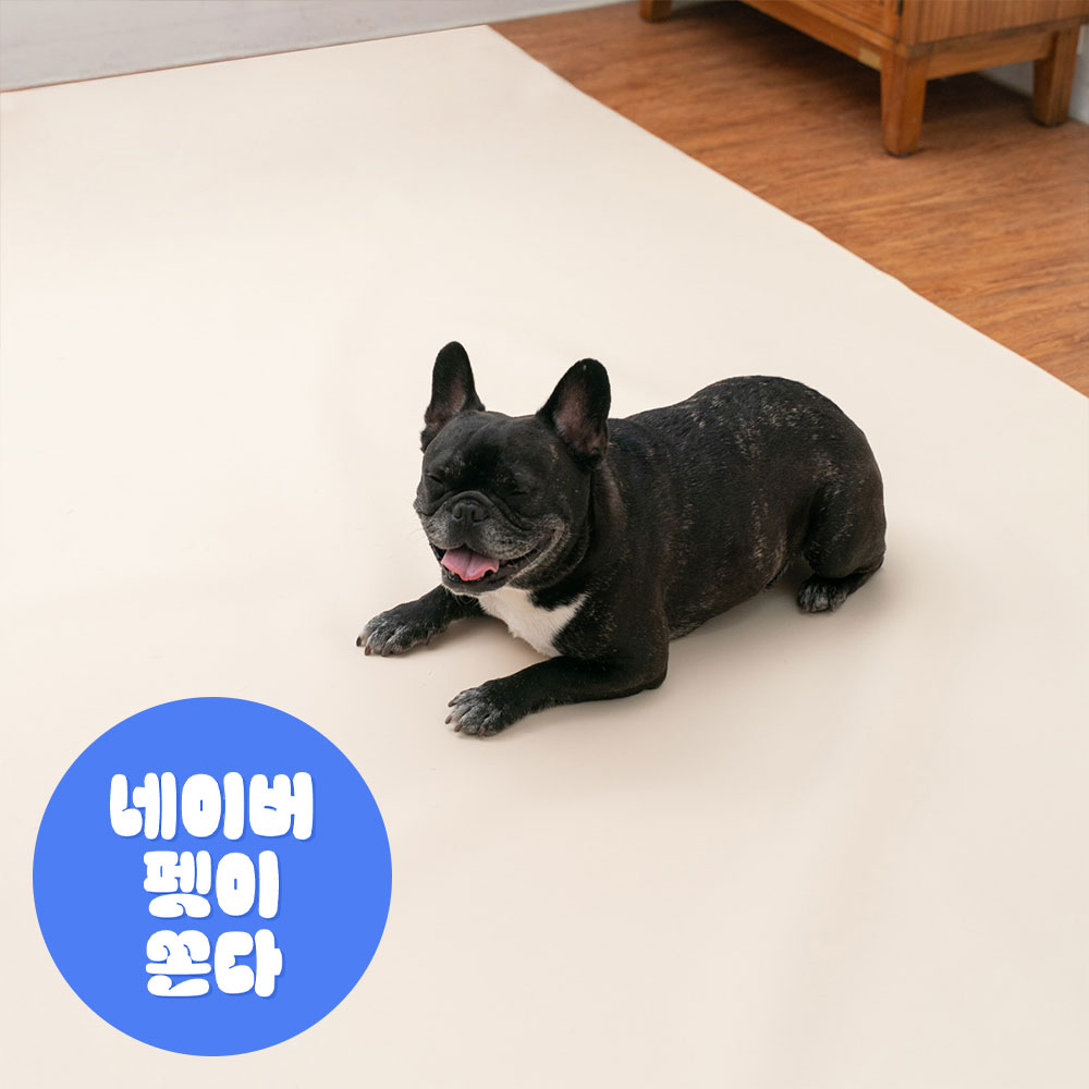 개놀자 슬림 실리콘 강아지 롤매트 애견 고양이 미끄럼방지 매트 아이보리, 140x500cm