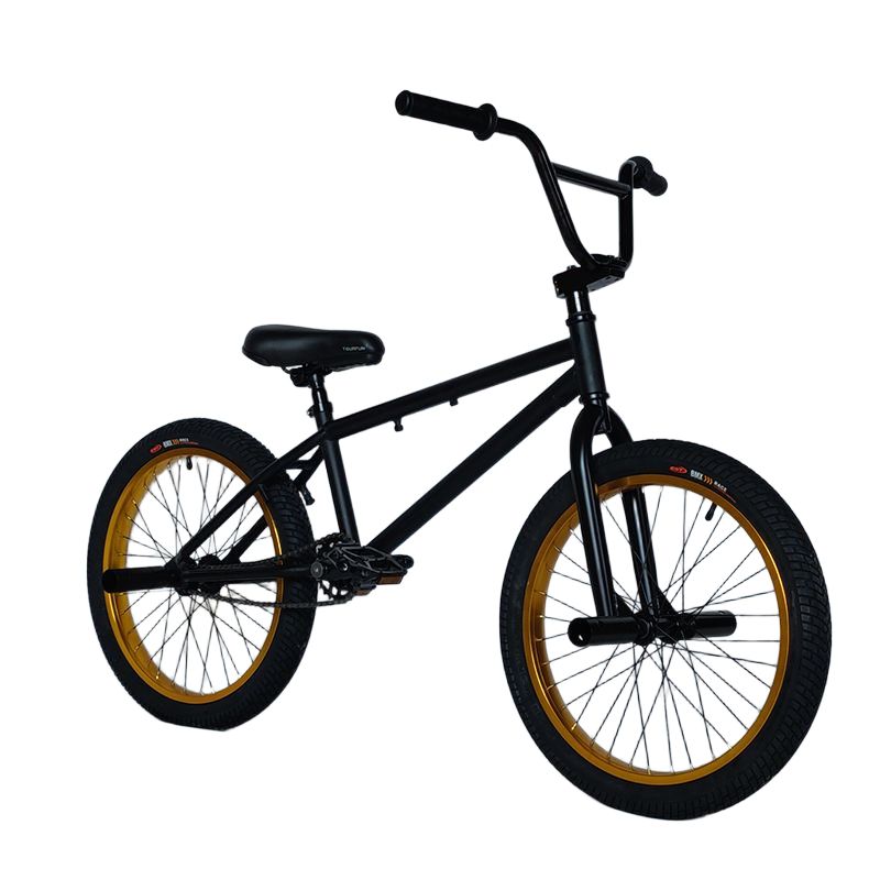 20인치 BMX 자전거 퀵 묘기용 입문 바이크 퍼포먼스 스턴트 - 상품 이미지