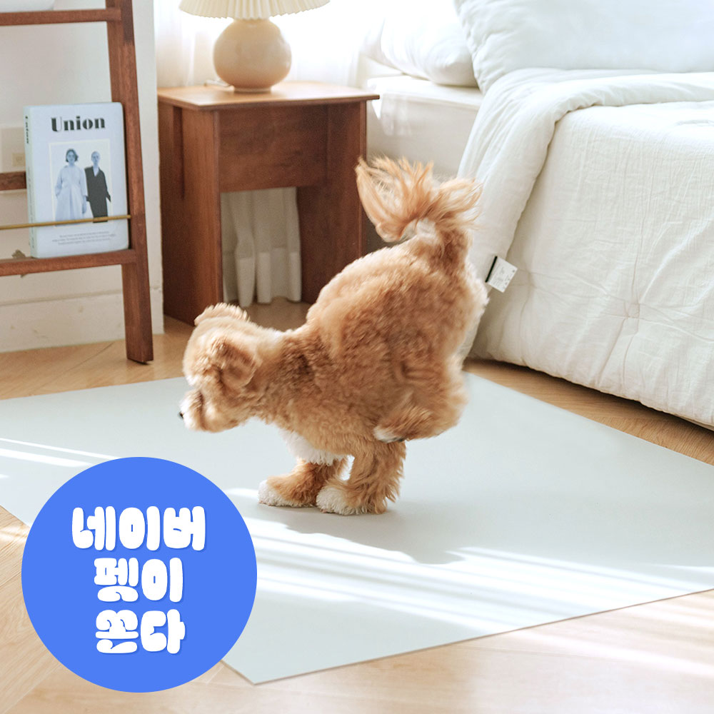 개놀자 슬림 실리콘 강아지 롤매트 애견 고양이 미끄럼방지 매트 그레이, 110x100cm