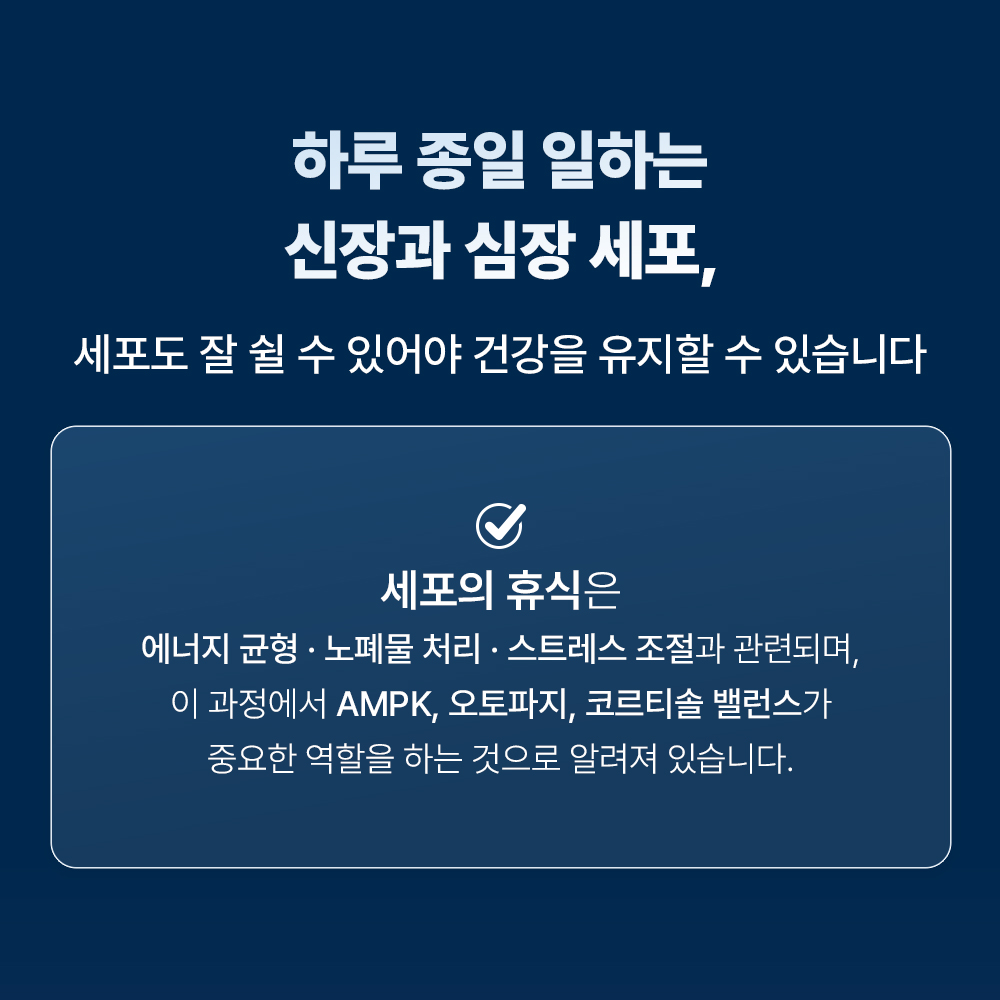신부전 고양이 신장 심장 영양제 HCM 빈혈 고혈압 그레이코트 캄 60캡슐, 1개 - 상세 이미지 3